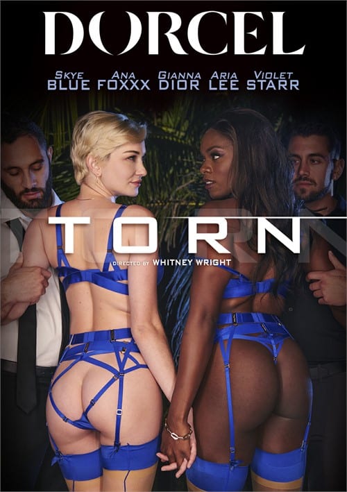 Alçak Adam Klasik Erotik Film (Türkçe Dublaj)